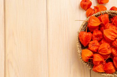 Sonbahar arka plan. Parlak turuncu physalis çilek parlak odunsu arka plan üzerinde. Sonbaharda tatiller ve Şükran günü için arka plan.