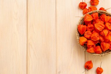 Sonbahar arka plan. Parlak turuncu physalis çilek parlak odunsu arka plan üzerinde. Sonbaharda tatiller ve Şükran günü için arka plan.