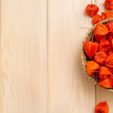 Sonbahar arka plan. Parlak turuncu physalis çilek parlak odunsu arka plan üzerinde. Sonbaharda tatiller ve Şükran günü için arka plan.