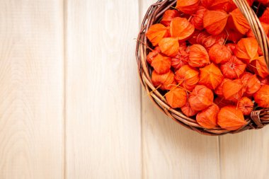 Sonbahar arka plan. Parlak turuncu physalis çilek parlak odunsu arka plan üzerinde. Sonbaharda tatiller ve Şükran günü için arka plan.