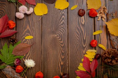 Sonbahar arka plan. Parlak turuncu meyveler, çok çiçek ve yaprakları kahverengi ahşap arka plan üzerinde. Sonbaharda tatiller ve Şükran günü için arka plan.