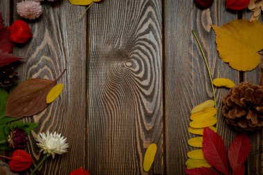 Sonbahar arka plan. Parlak turuncu meyveler, çok çiçek ve yaprakları kahverengi ahşap arka plan üzerinde. Sonbaharda tatiller ve Şükran günü için arka plan.