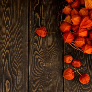 Sonbahar arka plan. Parlak turuncu physalis çilek kahverengi odunsu arka plan üzerinde. Sonbaharda tatiller ve Şükran günü için arka plan.