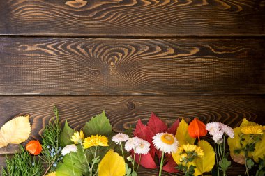 Sonbahar arka plan. Parlak turuncu meyveler, çok çiçek ve yaprakları kahverengi ahşap arka plan üzerinde. Sonbaharda tatiller ve Şükran günü için arka plan.