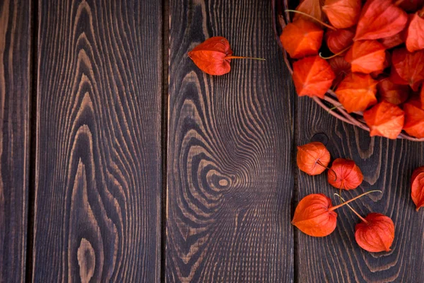 Herbsthintergrund Leuchtend Orangefarbene Physalis Beeren Auf Braunem Holzigem Hintergrund Hintergrund — Stockfoto