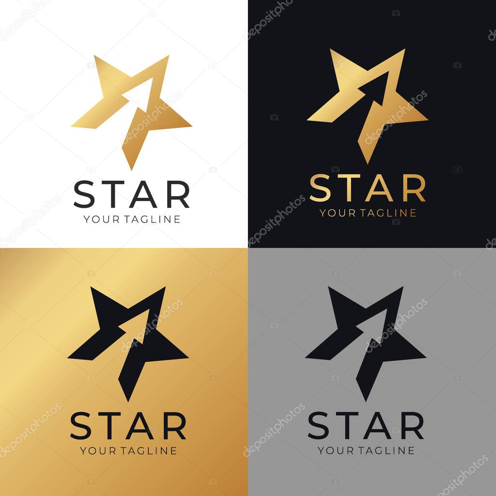 Star logo vector. Universal abstract logo with a star symbol for any business. Star sign - a leader, success and power. Vector illustration eps 10.