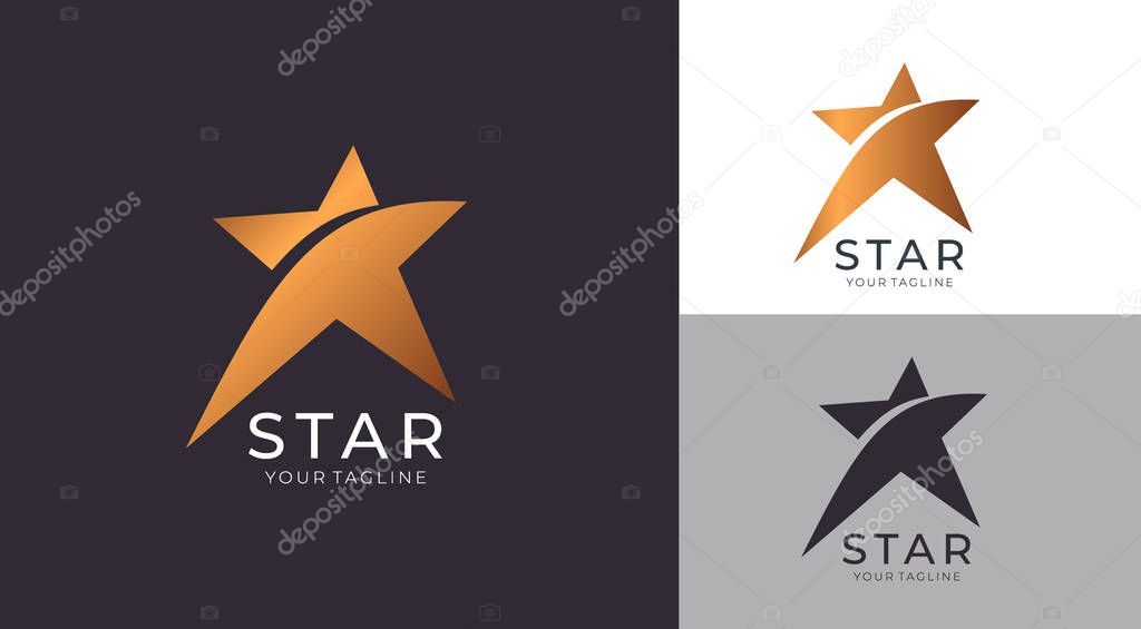 Star logo vector. Universal abstract logo with a star symbol for any business. Star sign - a leader, success and power. Vector illustration eps 10.
