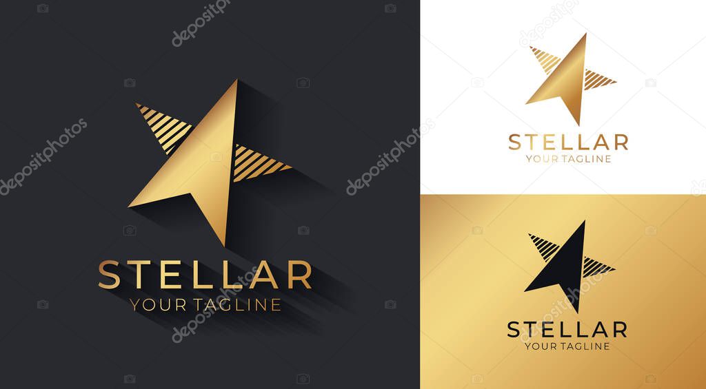 Star logo vector. Universal abstract logo with a star symbol for any business. Star sign - a leader, success and power. Vector illustration eps 10.