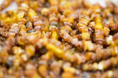 Ham amber taşı, basit boncuk. Yakın çekim. Amber arka plan.