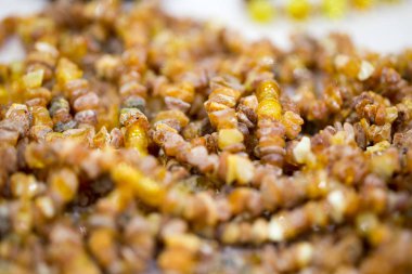 Ham amber taşı, basit boncuk. Yakın çekim. Amber arka plan.