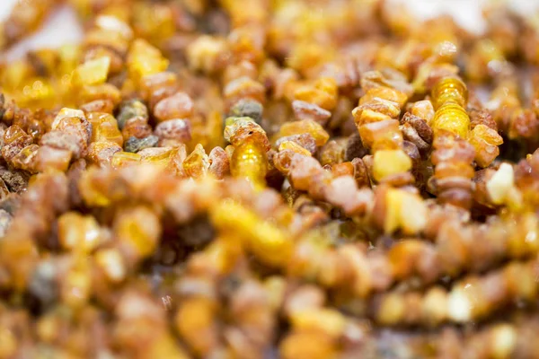 Ham amber taşı, basit boncuk. Yakın çekim. Amber arka plan.