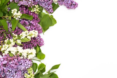 Beyaz arka plan üzerinde güzel leylak. Metin eklemek için bir yer. Bahar arka plan. Düz, en iyi görünümü.