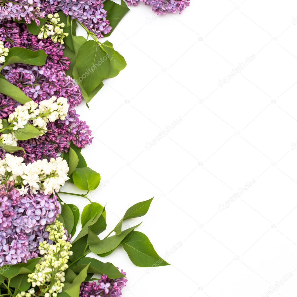 The beautiful lilac on white background. Place to insert text. Spring background. Flat, top view.