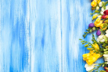 Bahar arka plan. Mavi ahşap arka plan üzerinde güzel bahar frezya çiçeği. Metin, yer yakın çekim.