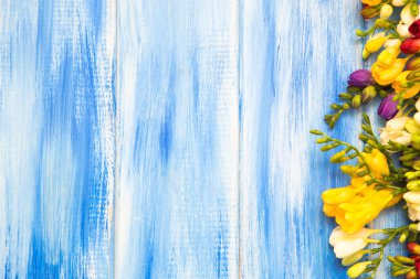 Bahar arka plan. Mavi ahşap arka plan üzerinde güzel bahar frezya çiçeği. Metin, yer yakın çekim.