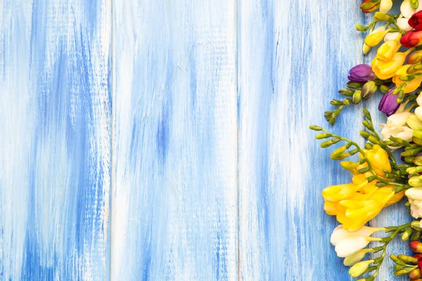 Bahar arka plan. Mavi ahşap arka plan üzerinde güzel bahar frezya çiçeği. Metin, yer yakın çekim.