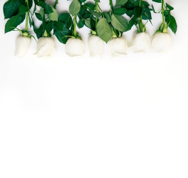 Beyaz gül. Beyaz bir arka plan üzerinde hassas gül buketi. Metin için yer. Romantik arka plan bahar tatilleri için.