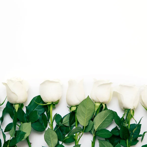 Белая Роза Букет Нежных Роз Белом Фоне Место Смс Романтический — стоковое фото