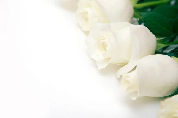 白いバラ 白地に繊細なバラの花束 テキストを配置します 春休みのロマンチックな背景 — ストック写真