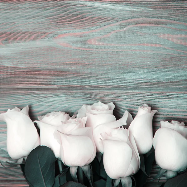 Bílé Růže Kytice Jemných Růží Bílém Pozadí Místo Pro Text — Stock fotografie