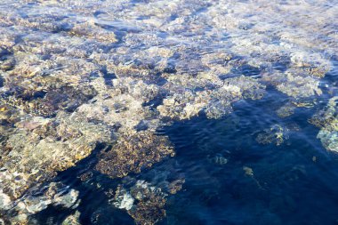 Mercan kayalığı masmavi suda görülür. Güzel mavi deniz dalga fotoğrafı yakın çekim. Deniz ya da okyanus plaj tatil. Görüntü ve metin eklemek için arka plan. Turizm, seyahat.