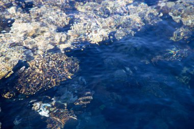 Mercan kayalığı masmavi suda görülür. Güzel mavi deniz dalga fotoğrafı yakın çekim. Deniz ya da okyanus plaj tatil. Görüntü ve metin eklemek için arka plan. Turizm, seyahat.