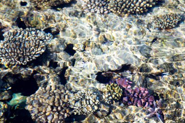 Mercan kayalığı masmavi suda görülür. Güzel mavi deniz dalga fotoğrafı yakın çekim. Deniz ya da okyanus plaj tatil. Görüntü ve metin eklemek için arka plan. Turizm, seyahat.