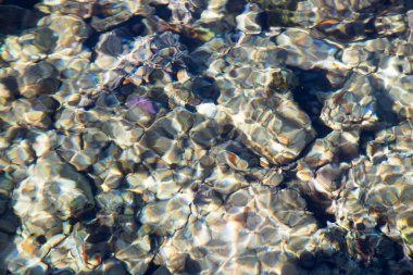 Mercan kayalığı masmavi suda görülür. Güzel mavi deniz dalga fotoğrafı yakın çekim. Deniz ya da okyanus plaj tatil. Görüntü ve metin eklemek için arka plan. Turizm, seyahat.