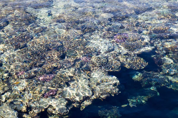 Terumbu karang dapat dilihat melalui air biru yang jernih. Indah foto gelombang laut biru dekat. Liburan pantai di laut atau laut. Latar belakang untuk menyisipkan gambar dan teks. Pariwisata, perjalanan . — Stok Foto