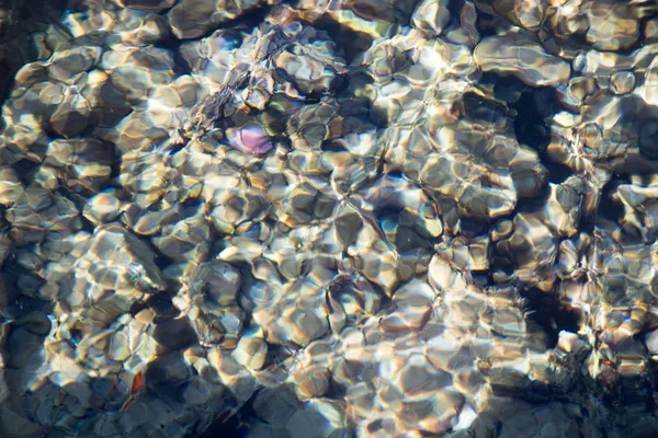 Le récif corallien est visible à travers l'eau bleue claire. Belle photographie d'onde de mer bleue de près. Vacances à la plage en mer ou en mer. Fond pour insérer des images et du texte. Tourisme, voyages . — Photo