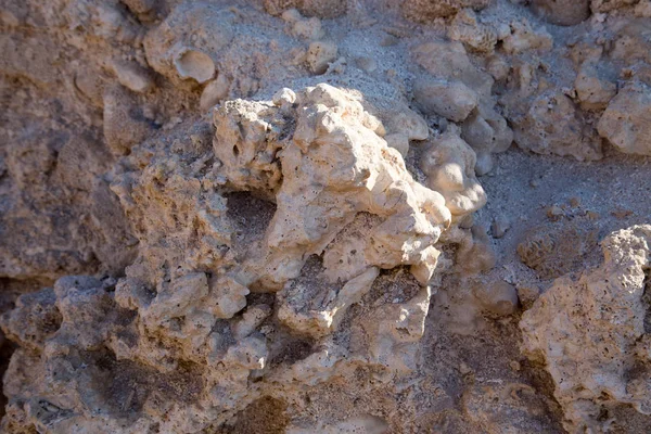 Vintage modder muur in de woestijn gemaakt met strand rotsen en stenen koraal. Textuur van oude stenen muur, oude droge koraal van bruine kleur. Natuurlijke achtergrond. — Stockfoto