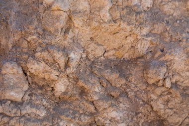 Vintage çamur duvar çölde plaj kayalar ve mercan taşları ile yapılmış. Taş eski doku duvar eski kuru mercan kahverengi renk. Doğal arka plan.