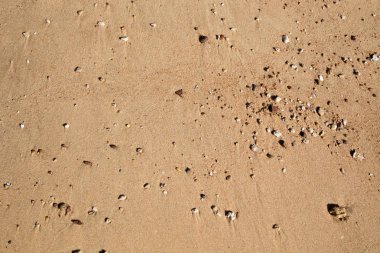 Sahilde kum doku. Doğal arka plan.