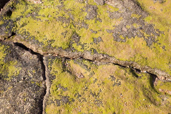 Textura de piedra gris cubierta de musgo verde. Fondo natural. Piedra textura agua borde — Foto de Stock