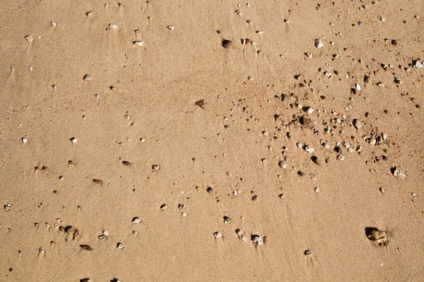 Sand konsistens på stranden. Naturlig bakgrund. — Stockfoto