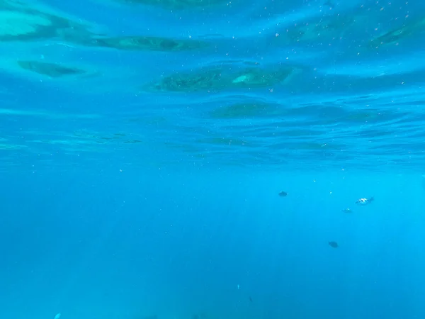 Piękna tekstura morza i wody oceanu. niebieskim tle. Fotografia podwodna. Red Sea, Egipt. — Zdjęcie stockowe