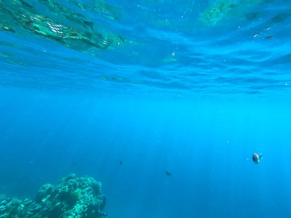 Hermosa textura del mar y el agua del océano. fondo azul. Fotografía submarina. Mar Rojo, Egipto . — Foto de Stock