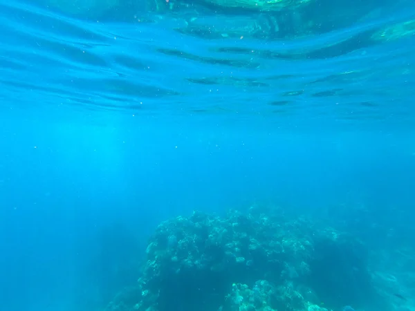 红海珊瑚礁的水下摄影。清澈的蓝色海水，美丽的珊瑚。自然背景。插入文本的位置。旅游与旅游的主题. — 图库照片