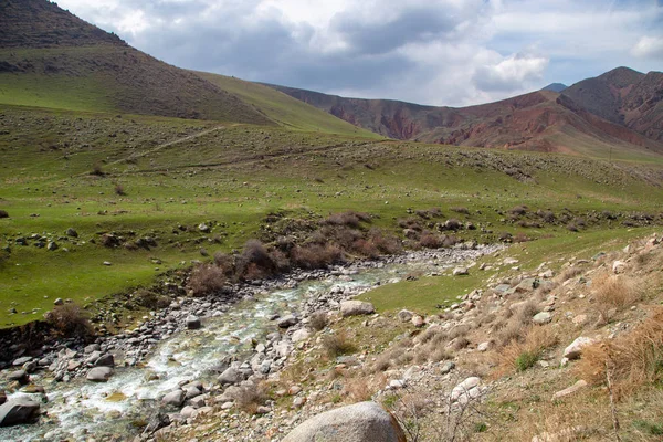 Dağ baharı manzarası. Dağ nehri, mavi gökyüzü. Dağlarda kasabadan güne. Bahar havası. Yeşil çimen.