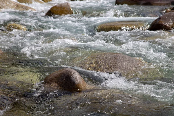 Vatten i berget Raging River. Vacker natur bakgrund av stenar och vatten. Konsistens av klart vatten och snabb flod. Bakgrund för att infoga text. Turism och resor. — Stockfoto