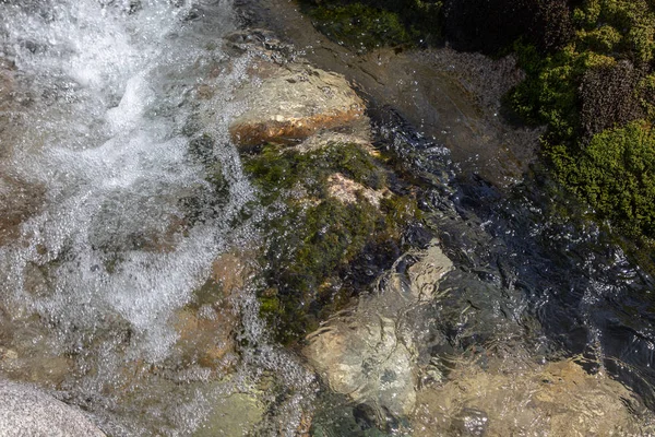 Azgın nehirdeki su. Taşların ve suyun güzel doğal arka planı. Berrak su ve hızlı nehir dokusu. Metin eklemek için arka plan. Turizm ve seyahat.