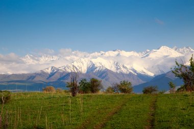 Beautiful spring and summer landscape. Lush green hills, high snowy mountains. Country road. Blue sky and white clouds. Background for tourism and travel.