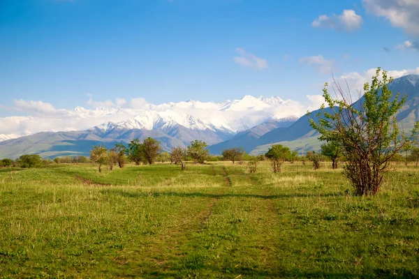 Lindas paisagens de primavera e verão. Colinas verdes exuberantes, altas montanhas nevadas. Estrada rural. Céu azul e nuvens brancas. Antecedentes para turismo e viagens . — Fotografia de Stock