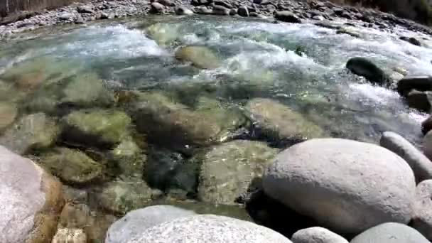 Rio Montanha Tempestuoso Cercado Por Pedras Árvores Início Primavera Quirguistão — Vídeo de Stock