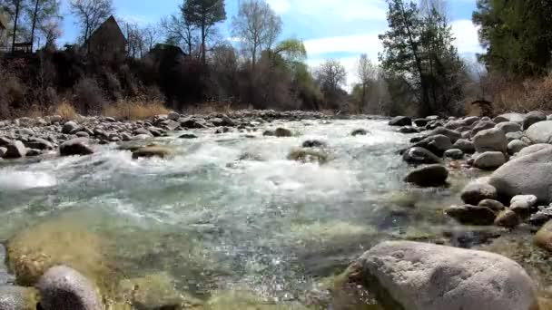 Tormentoso Río Montaña Rodeado Piedras Árboles Primavera Temprana Kirguistán — Vídeos de Stock