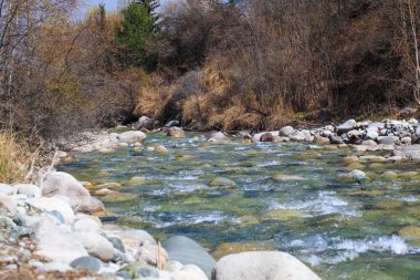 Bir dağ nehri ile manzara. Kırsal kesimde yaz günü. nehir ve ağaçlar.