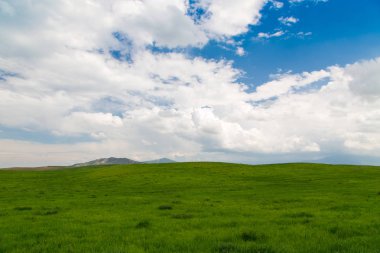 Güzel ilkbahar ve yaz manzarası. Yemyeşil tepeler, yüksek dağlar. Parlak yeşil çimenler. Bahar çiçekli çimenler. Yaz doğal arka plan.