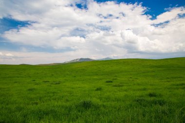 Güzel ilkbahar ve yaz manzarası. Yemyeşil tepeler, yüksek dağlar. Parlak yeşil çimenler. Bahar çiçekli çimenler. Yaz doğal arka plan.