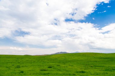 Güzel ilkbahar ve yaz manzarası. Yemyeşil tepeler, yüksek dağlar. Parlak yeşil çimenler. Bahar çiçekli çimenler. Yaz doğal arka plan.