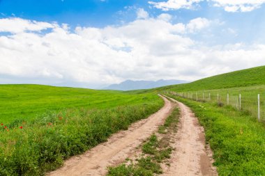 Beautiful spring and summer landscape. Mountain country road among green hills. Lush green hills, high mountains. Bright green grass. Spring flowering grass. Summer natural background.